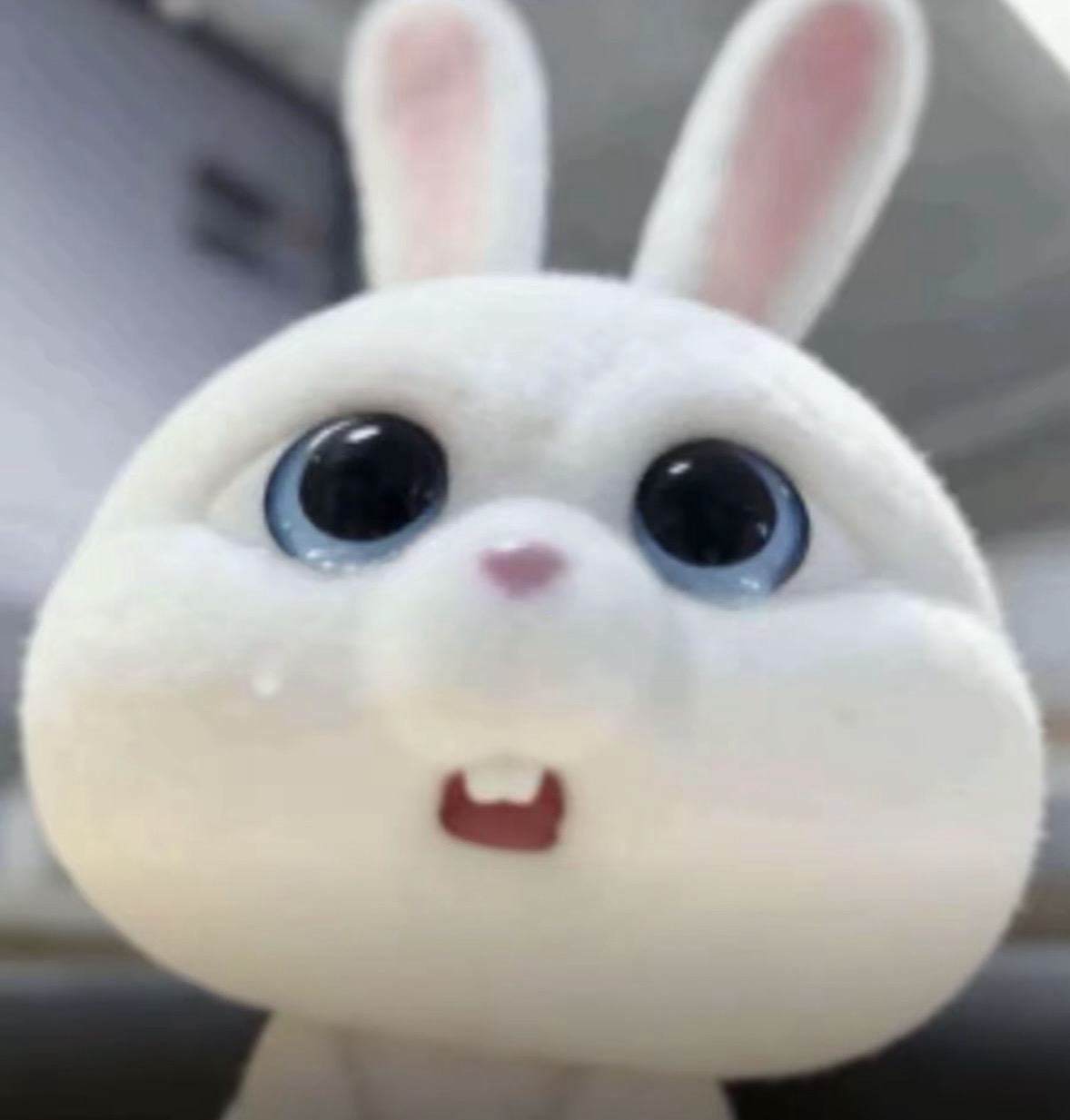 阴天的路子